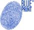 Blue Print